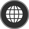 globe icon